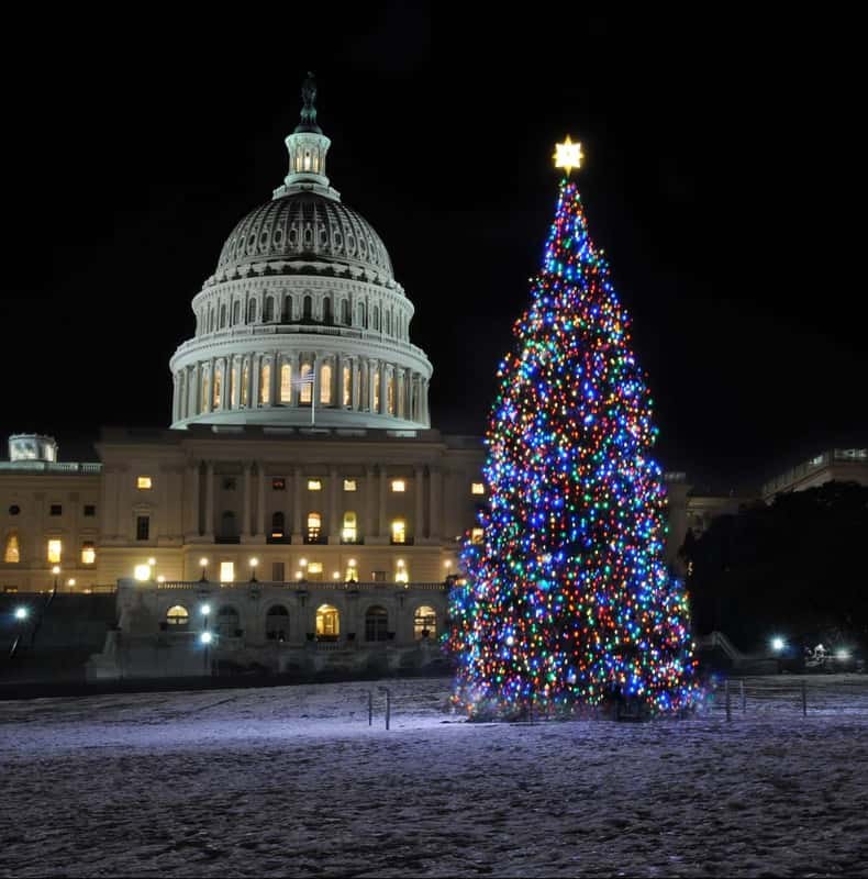 Washington, DC: Holiday Lights Nighttime Bus Tour